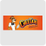 Cheetah logo