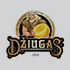 Dzuiga logo