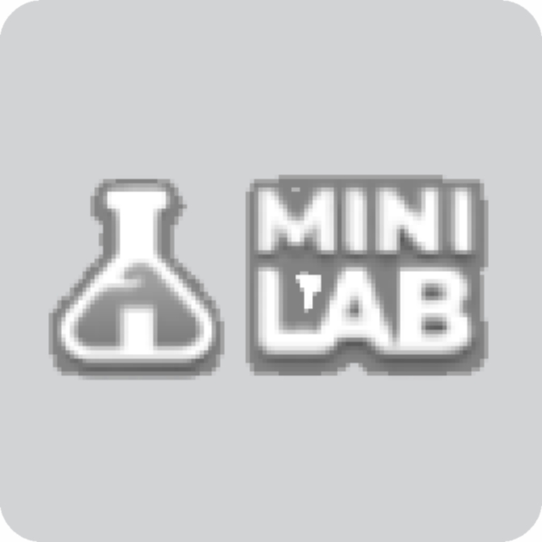 Mini Lab