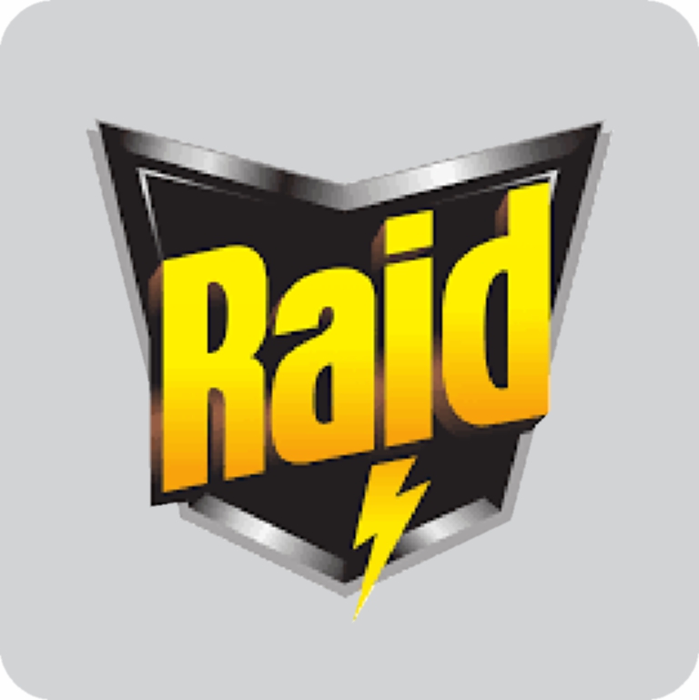 Raid logo