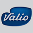 Viola logo
